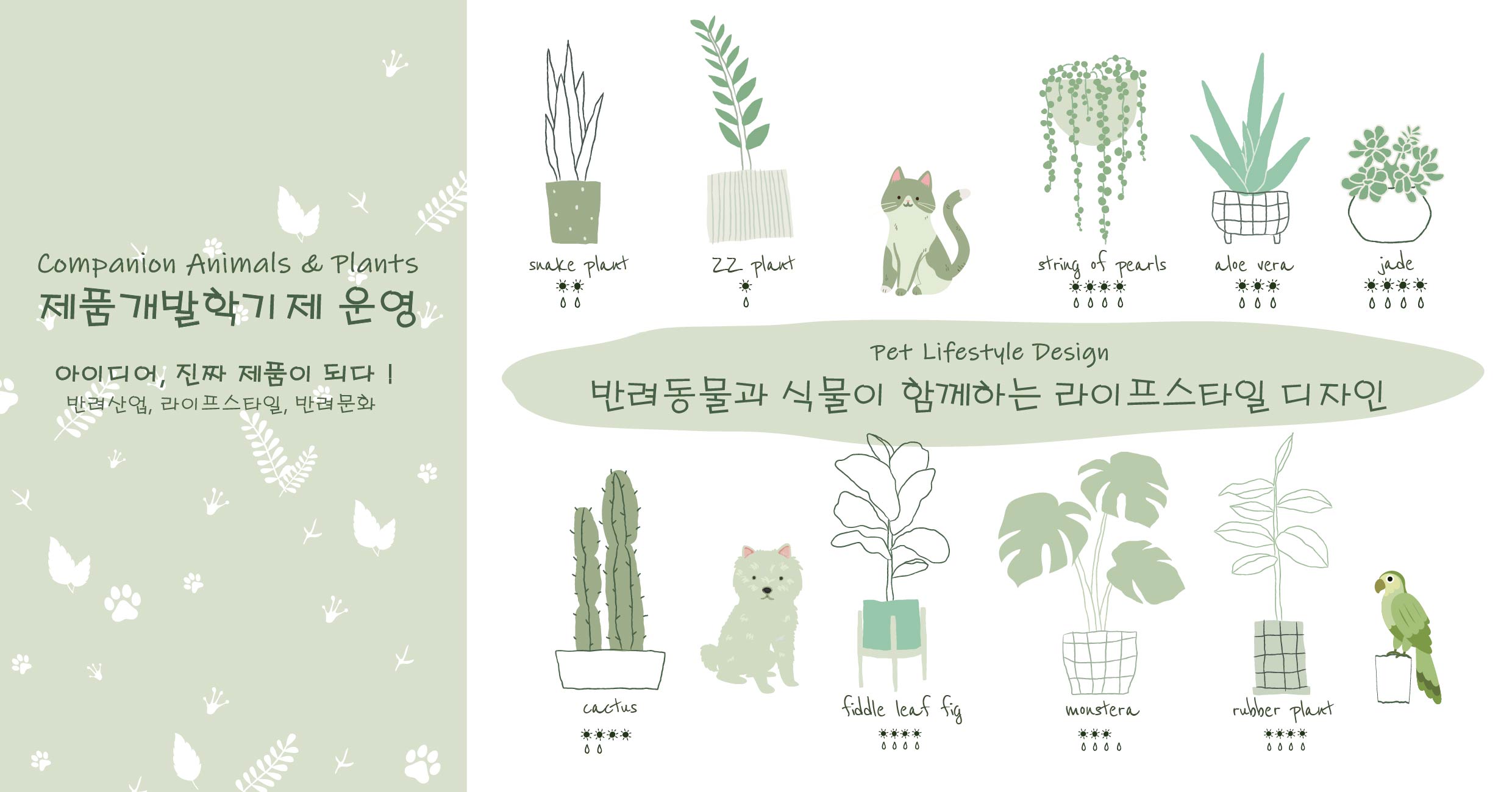 제품개발학기제