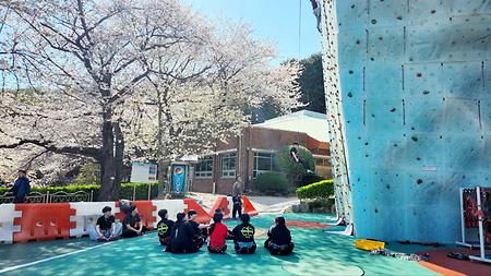  레스큐 클라이밍