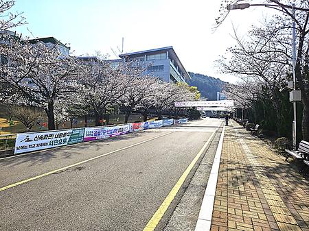 따뜻한 봄! 동명대학교 차없는 거리 행사!